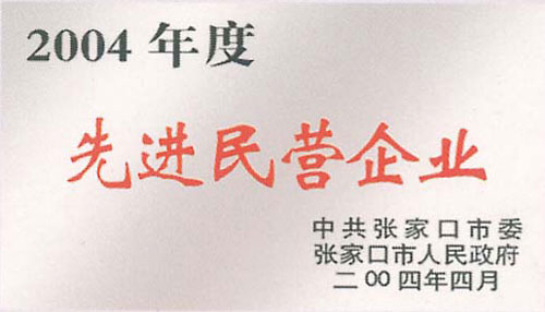 2004年底先進民營企業(yè)